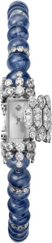 Cartier High Jewelry Watches HPI00631