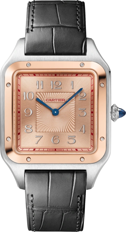 Cartier Santos de Cartier W2SA0025