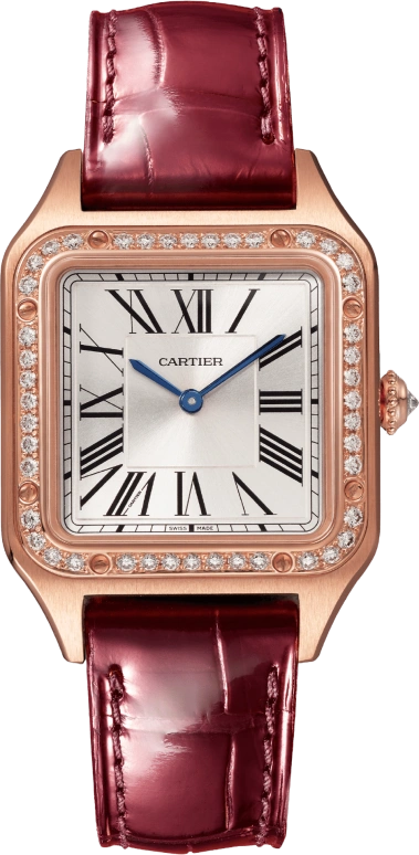 Cartier Santos de Cartier WJSA0017