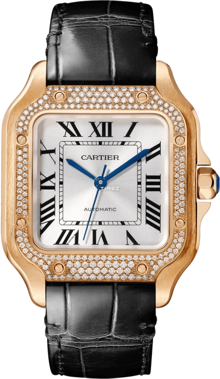 Cartier Santos de Cartier WJSA0007