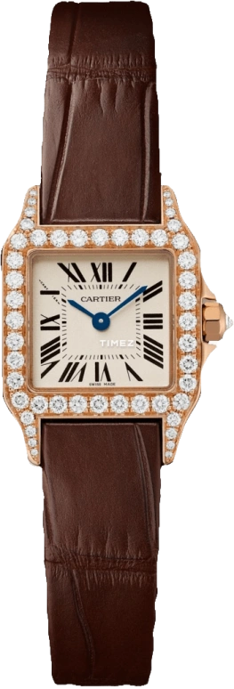 Cartier Santos de Cartier WF902004