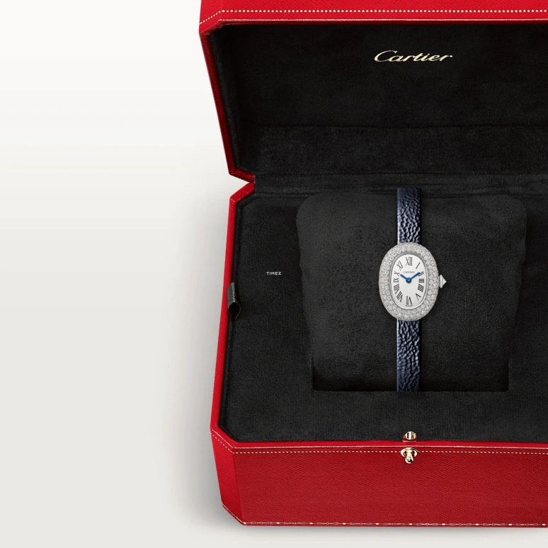 Cartier,Baignoire 24.60x18.70mm,24.60x18.70mm,White Gold,Silver,Quartz,Sapphire,Crystal Glass,Oval,WJBA0050