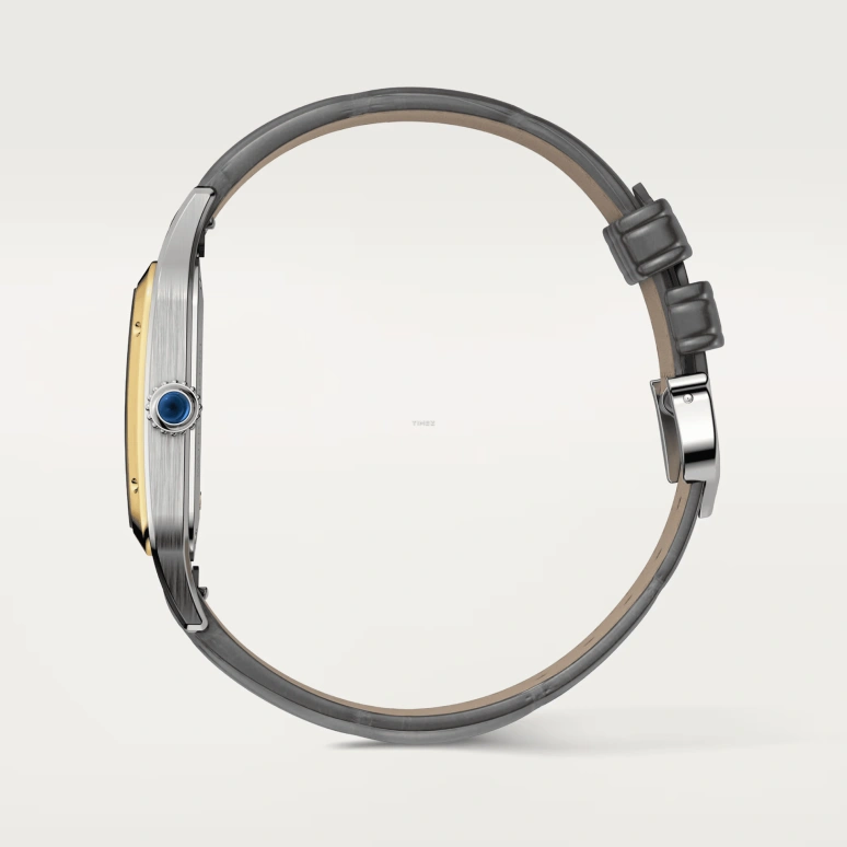 Cartier,Santos de Cartier 43.50x31.40mm,43.50x31.40mm,Stainless Steel,Grey,Quartz,Sapphire,Crystal Glass,Square,W2SA0036