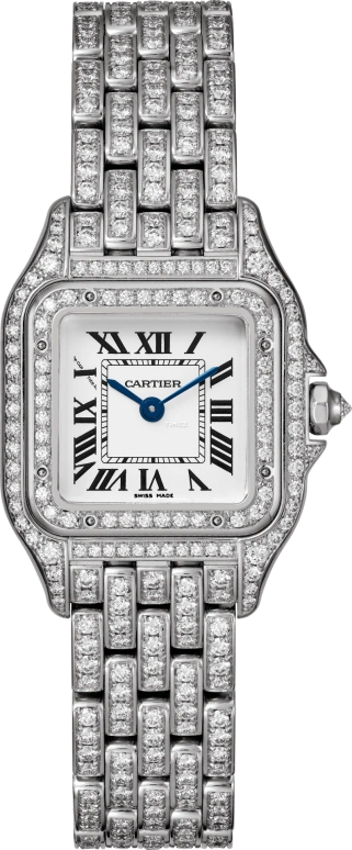Cartier Panthère de Cartier HPI01720