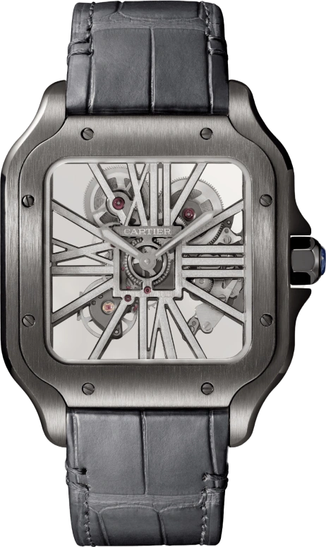 Cartier Santos de Cartier WHSA0009