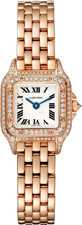 Cartier Panthère de Cartier WJPN0045