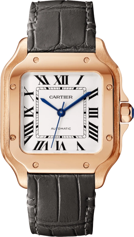 Cartier Santos de Cartier WGSA0028
