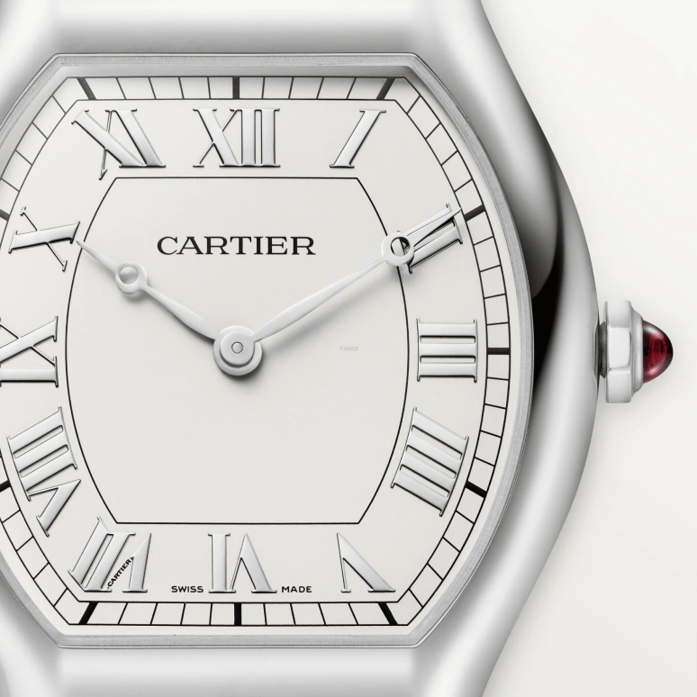 Cartier,Tortue 41.40x32.90mm,41.40x32.90mm,Platinum,Silver White,Handwound,36hours,In-house Caliber,WGTO0008