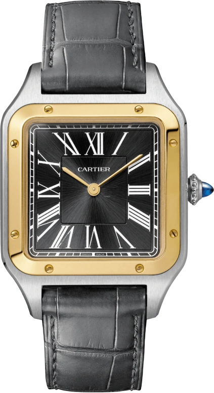 Cartier Santos de Cartier W2SA0015