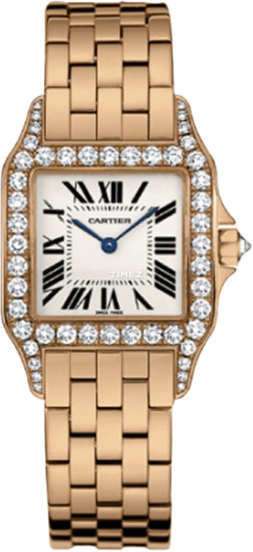 Cartier Santos de Cartier WF9007Z8