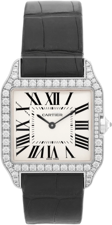Cartier Santos de Cartier WH100251