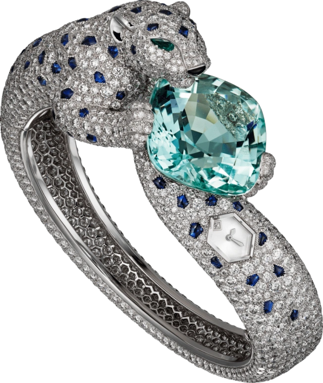Cartier High Jewelry Watches HPI01109