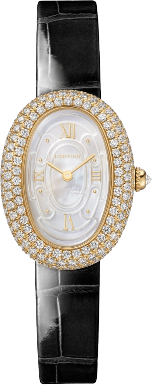 Cartier Baignoire WJBA0043