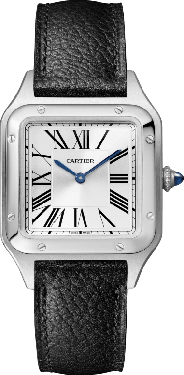 Cartier Santos de Cartier WSSA0041