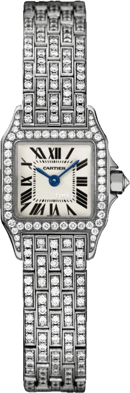 Cartier Santos de Cartier WF9005YA