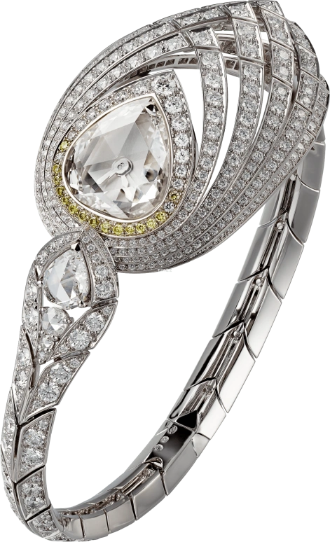 Cartier High Jewelry Watches HPI01134