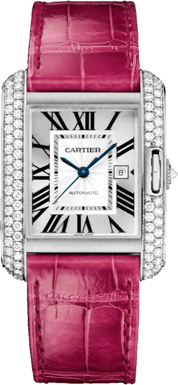 Cartier Tank WT100018