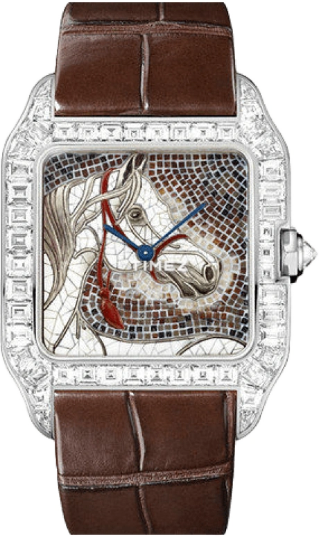 Cartier Santos de Cartier HPI00584