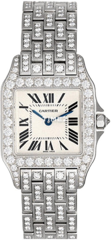 Cartier Santos de Cartier WF9010YA