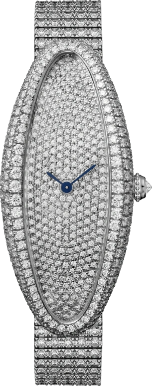 Cartier Baignoire HPI01306