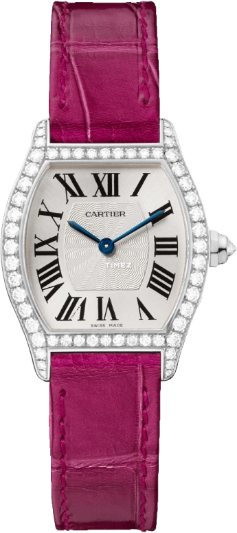 Cartier Tortue WA501007