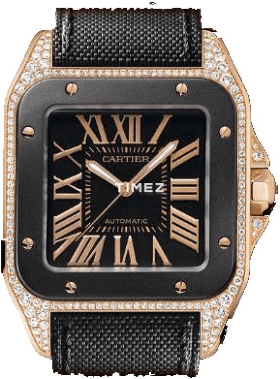 Cartier Santos de Cartier WM505015
