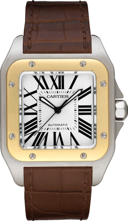 Cartier Santos de Cartier W20072X7
