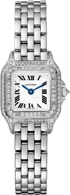 Cartier Panthère de Cartier WJPN0070