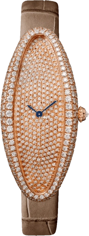 Cartier Baignoire WJBA0010