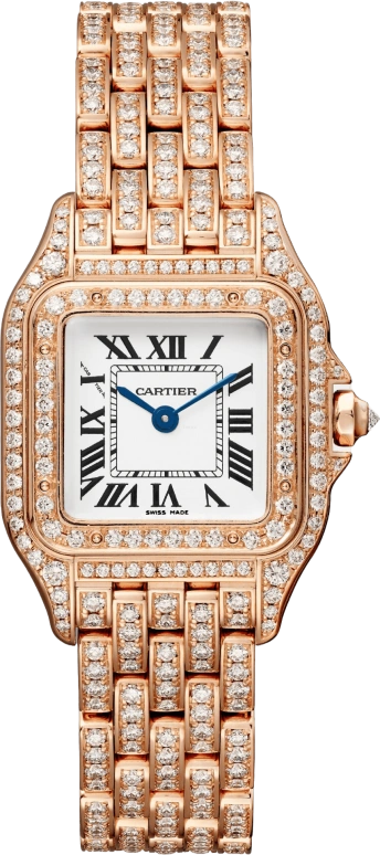 Cartier Panthère de Cartier HPI01131