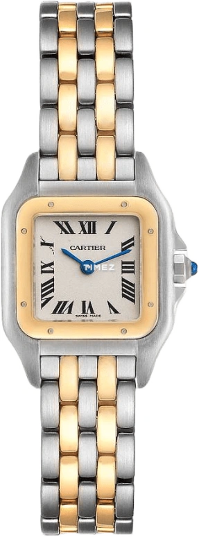Cartier Santos de Cartier W25029B6