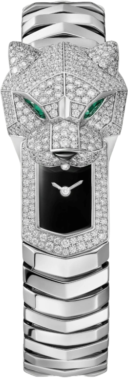 Cartier Panthère de Cartier HPI01741