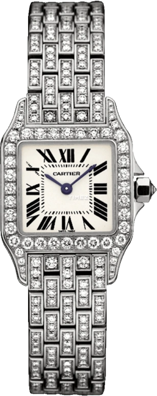 Cartier Santos de Cartier WF9003YA