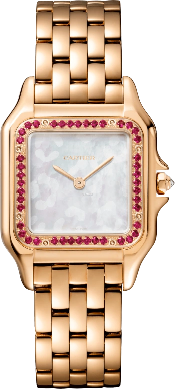 Cartier Panthère de Cartier WJPN0033