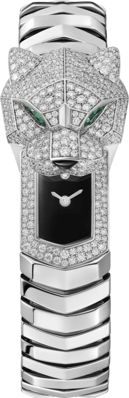 Cartier Panthère de Cartier HPI01636