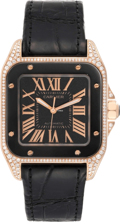 Cartier Santos de Cartier WM505017