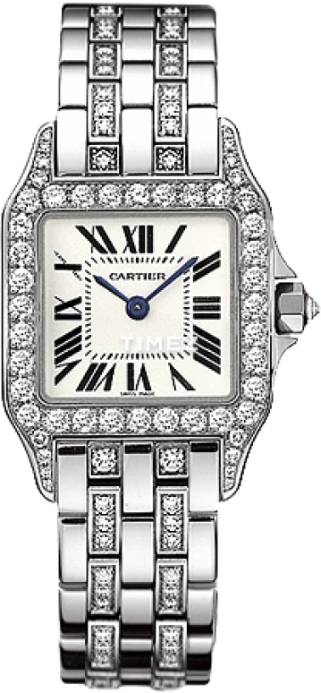 Cartier Santos de Cartier WF9010YC