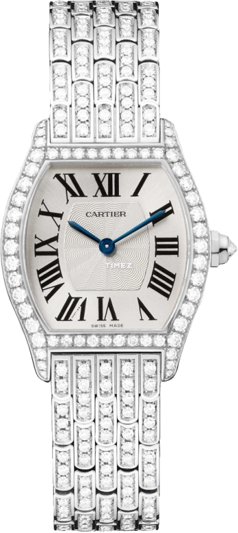 Cartier Tortue HPI00778