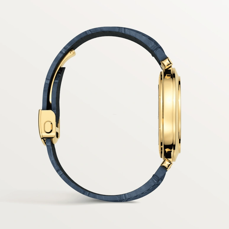 Cartier,Pasha de Cartier 41mm,41mm,Yellow Gold,Silver,Automatic,Day,42hours,WGPA0007