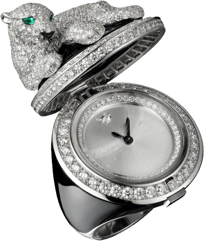 Cartier High Jewelry Watches HPI00693