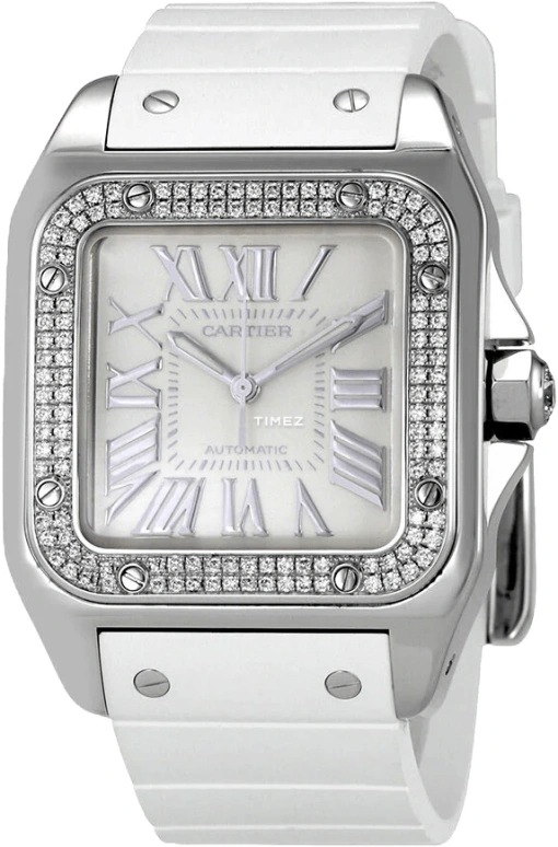 Cartier Santos de Cartier WM50460M