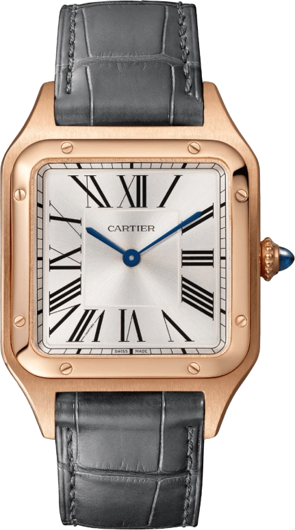 Cartier Santos de Cartier WGSA0021