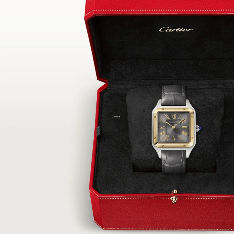 Cartier,Santos de Cartier 43.50x31.40mm,43.50x31.40mm,Stainless Steel,Grey,Quartz,Sapphire,Crystal Glass,Square,W2SA0036