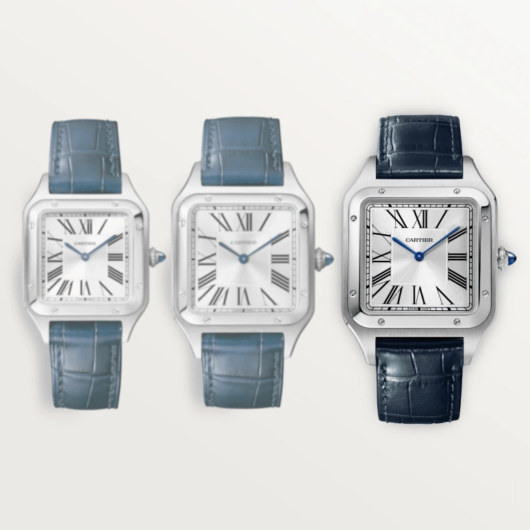 Cartier,Santos de Cartier 46.60x33.90mm,46.60x33.90mm,Stainless Steel,Silver,Handwound,36hours,In-house Caliber,WSSA0032