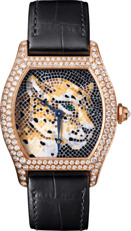 Cartier High Jewelry Watches HPI00721