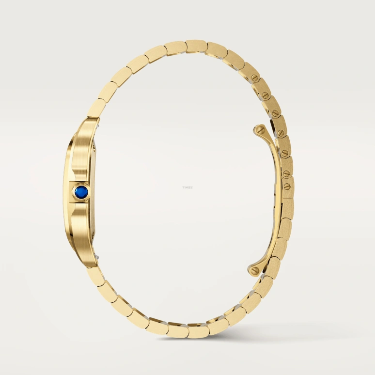Cartier,Santos de Cartier 27x34.50mm,27x34.50mm,Yellow Gold,Silver,Quartz,Sapphire,Crystal Glass,Square,WGSA0107
