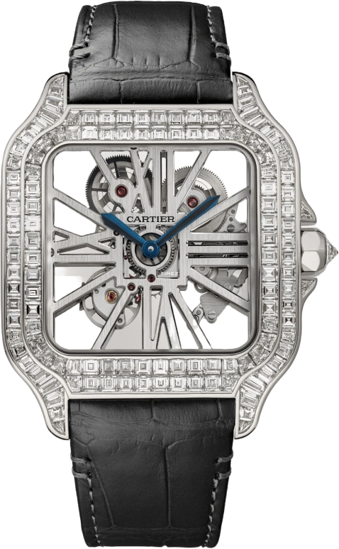 Cartier Santos de Cartier HPI01500