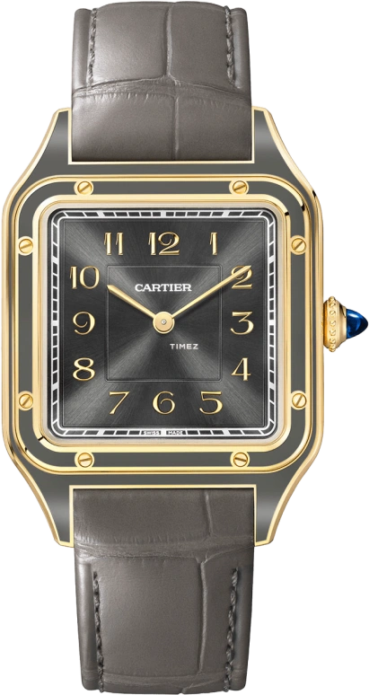 Cartier Santos de Cartier WGSA0097