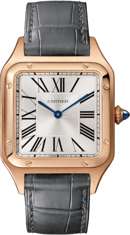 Cartier Santos de Cartier WGSA0116