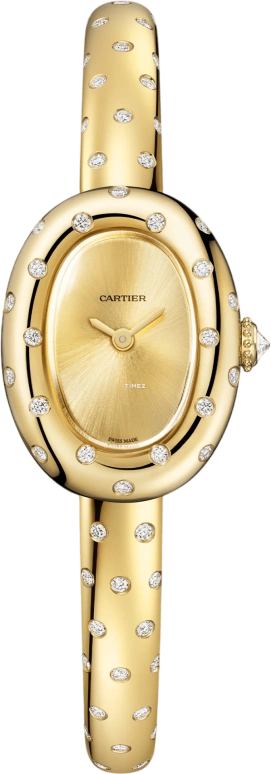 Cartier Baignoire WJBA0064